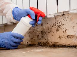 Mold Remediation for Vacation Homes in Lee Acres, NM